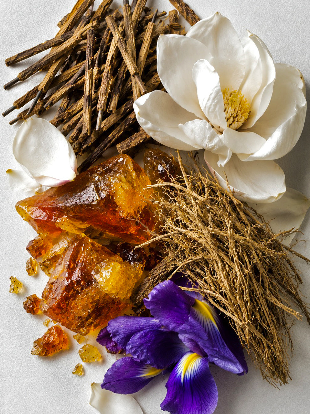 #FLEURORPHELINE #ÉLIXIRPRIVÉ #PARFUMPARIS #ATELIERPARFUM #AMBRE #FLORAL #AROMATIQUE #BERGAMOTE #LAVANDE #MANDARINEJAUNE #MAGNOLIA #FEUILLEDEVIOLETTE #IRIS #VANILLE #CISTE #BENJOIN #MUSCSBLANCS #VÉTIVER #PERFUME #PARFUM #PARIS #ÉLIXIR