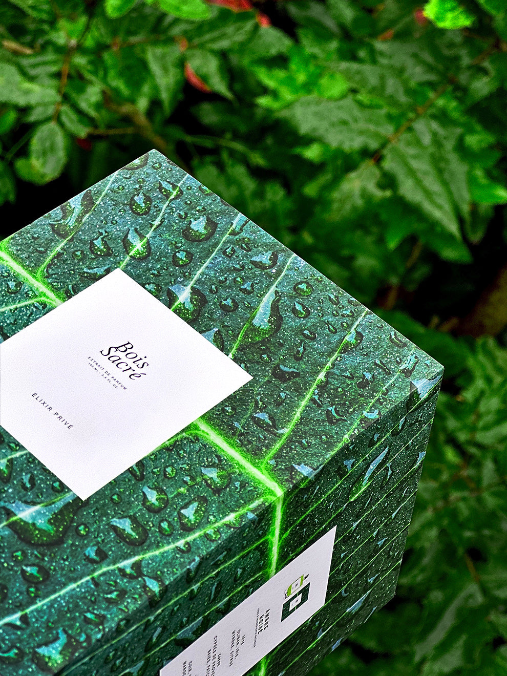 #BOISSACRÉ, #ÉLIXIRPRIVÉ, #PARFUMPARIS, #BOISÉ, #AMBRE, #BERGAMOTE, #MYRRHE, #SAFRAN, #PATCHOULI, #IRIS, #CEDRE, #MAROC, #CACAO, #TABAC, #PERFUME #PARFUM, #PARIS, #BOIS #SACRÉ #ÉLIXIR #EXTRAITDEPARFUM