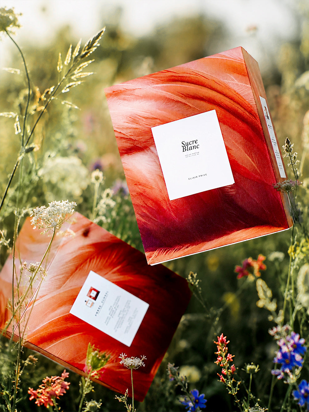 #SUCREBLANC #ÉLIXIRPRIVÉ #PARFUMPARIS #ATELIERPARFUM #NOTESFRUITÉES #POIVREROSE #POIRE #TUBÉREUSE #YLANGYLANG #JASMIN #MUSCSBLANCS #PATCHOULI #VANILLE #AMBRE #PERFUME #PARFUM #PARIS #SUCRE #BLANC #ÉLIXIR