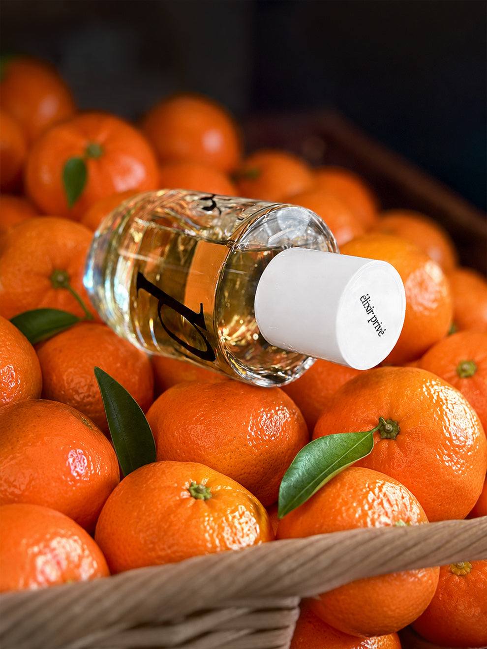 #TUNISNÉROLI #EXTRAITDEPARFUM #HESPÉRIDÉÉPICÉ #THÉ #AGRUME #FLORAL #SUCRÉ #VERT #ANISIQUE #PETITGRAIN #NÉROLI #GINGEMBRE #NOTES ANISIQUES #MUSCBLANC #SALICYLATES